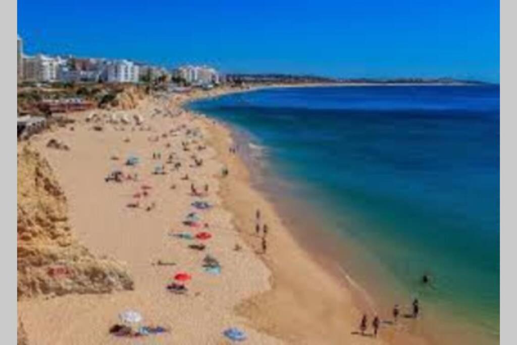 Cozy Ap Renovado 1ª Linha De Praia - Armacao Pera アルマカオ・デ・ペラ エクステリア 写真