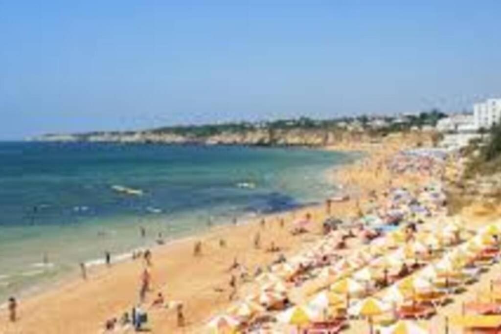 Cozy Ap Renovado 1ª Linha De Praia - Armacao Pera アルマカオ・デ・ペラ エクステリア 写真