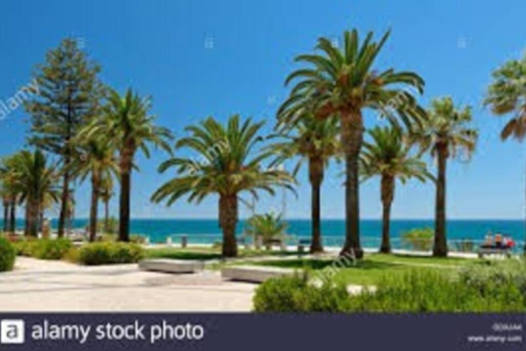 Cozy Ap Renovado 1ª Linha De Praia - Armacao Pera アルマカオ・デ・ペラ エクステリア 写真